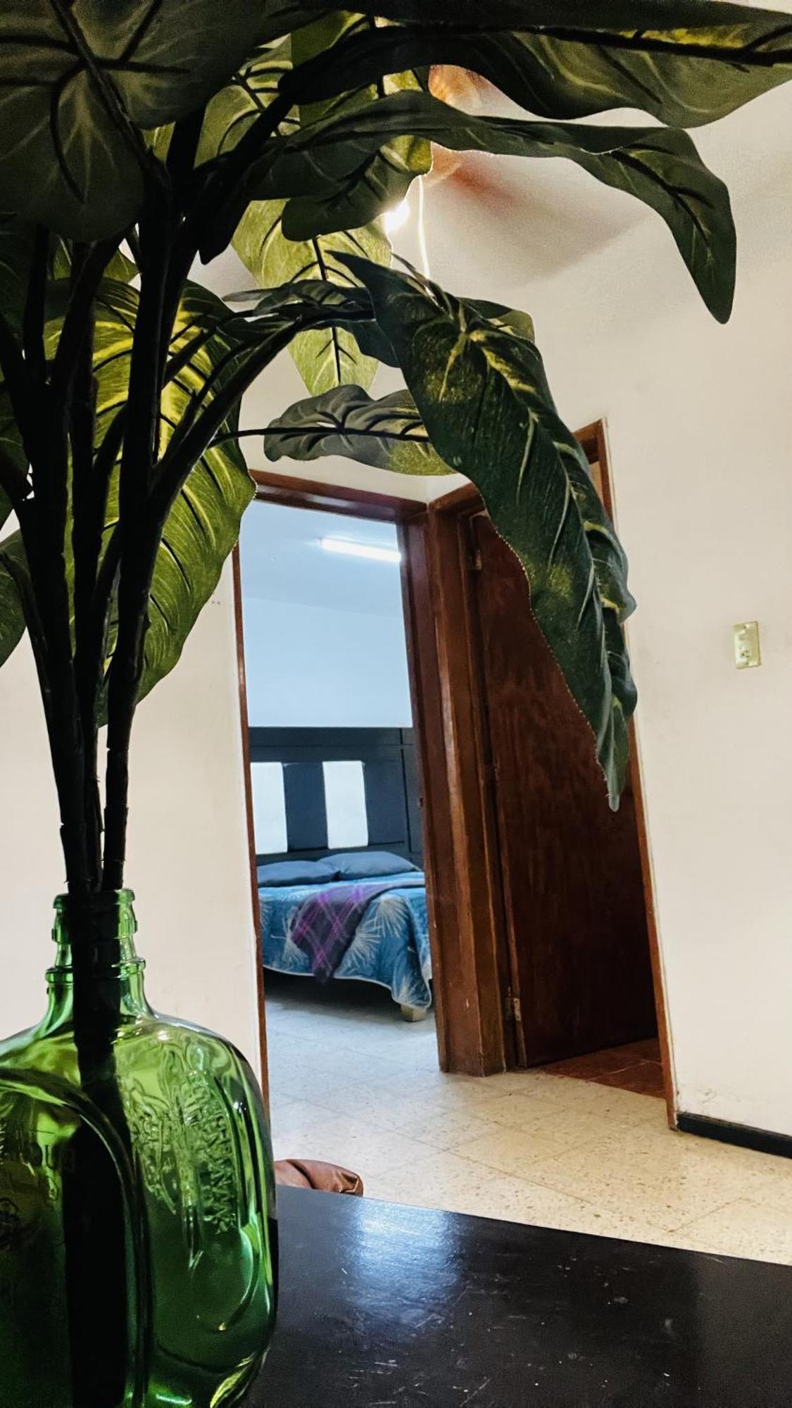 Casa Dahlia Querétaro